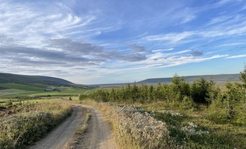 Opið hús FFA 3. október 2024