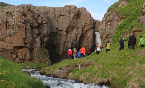 Næsta barna- og fjölskylduferð 17. ágúst: Miðvíkurfoss og fjöruferð
