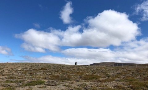 Næsta ferð 23. júlí: Laxárdalur í Austur-Húnavatnssýslu