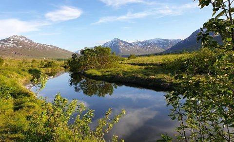 Náttúruhlaup með FFA haustið 2023