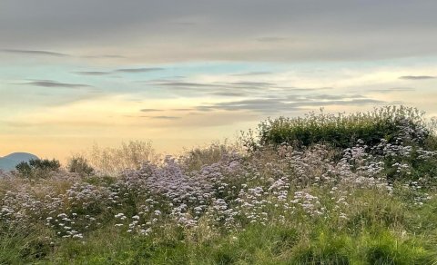 Söguganga - raðganga
