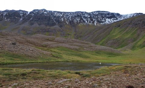 Næsta barna- og fjölskylduferð 2. júlí: Nýphólstjörn - veiðiferð