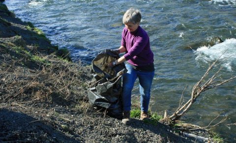 Stóri plokkdagurinn um helgina