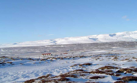 Minnum á næstu ferð: Reykjaheiði. 850 m