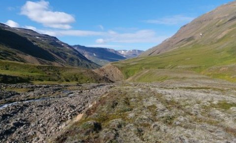 Viðbótarferð 10. júlí: Seldalur við Öxnadal