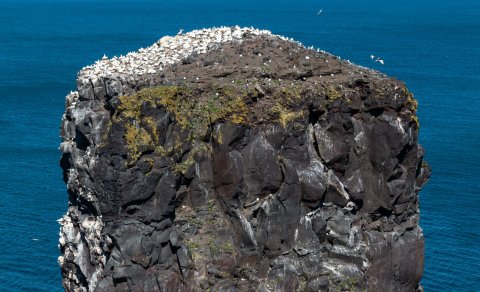 Árbók og Ferðir 2025 í apríl/maí