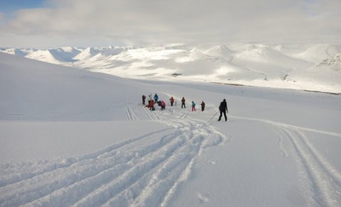 Næsta ferð 26. febrúar: Skíðastaðir-Þelamörk -gönguskíðaferð