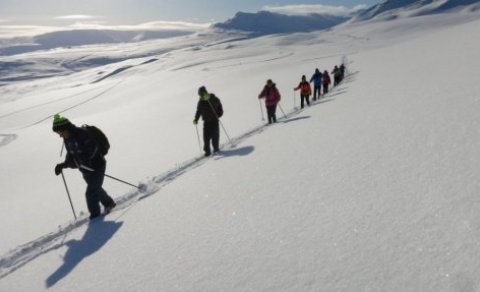 Næsta ferð 20. febrúar: Skíðastaðir-Þelamörk