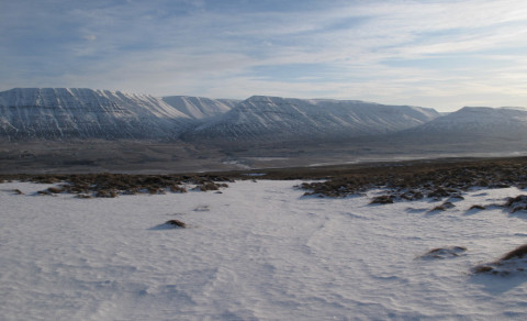 Gönguvika 2: Sölvadalur. 26. júlí