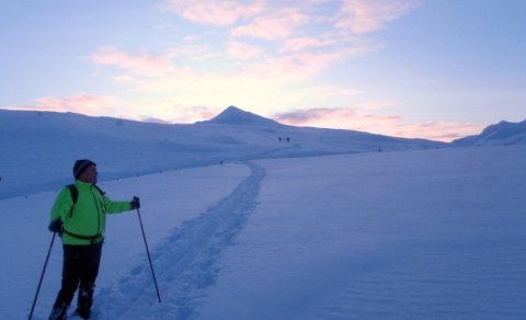Næsta ferð 18. janúar: Súlumýrar-skíðaferð