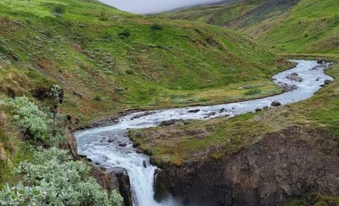 Þaulinn 2024 - gönguleikur