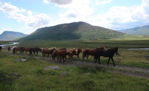 Fyrsta rafhjólaferðin 17. júlí: Timburvalladalur-Hjaltadalur