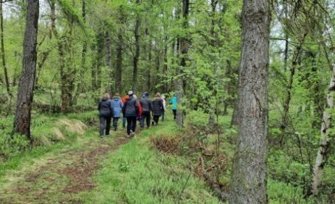 Tökum skrefið - vikulegar göngur hjá FFA
