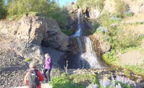 Gönguvika 2: Vaðlareitur. 24. júlí